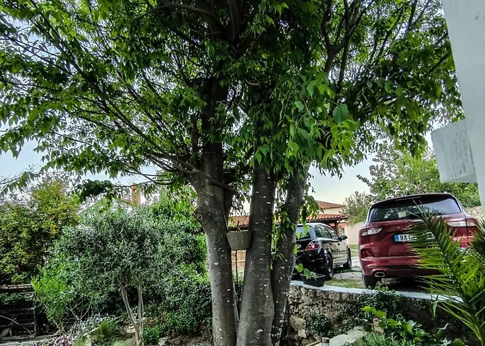 Apartament Centrum Pro 3 Osoby Nerezine